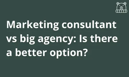 Marketing Consultant vs Agency: Is There a Better Option?