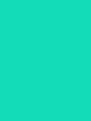 background bearhat background bearhat